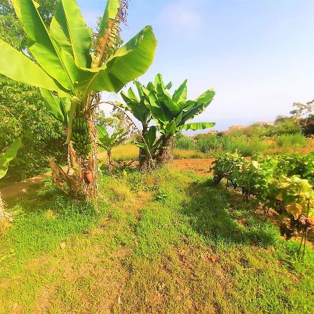 Casa En Finca Ecologica - Wifi Ля Оротава Экстерьер фото