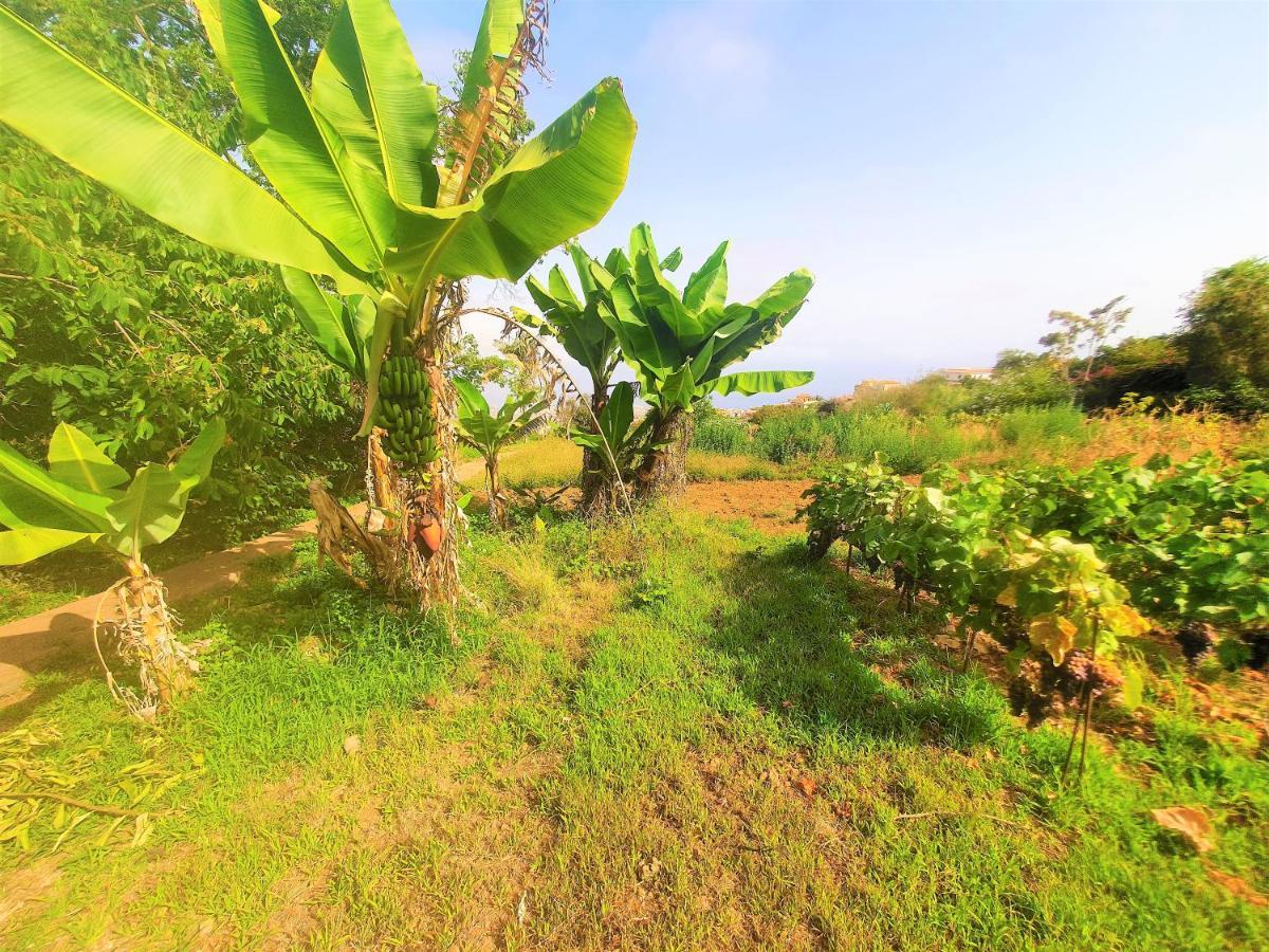 Casa En Finca Ecologica - Wifi Ля Оротава Экстерьер фото